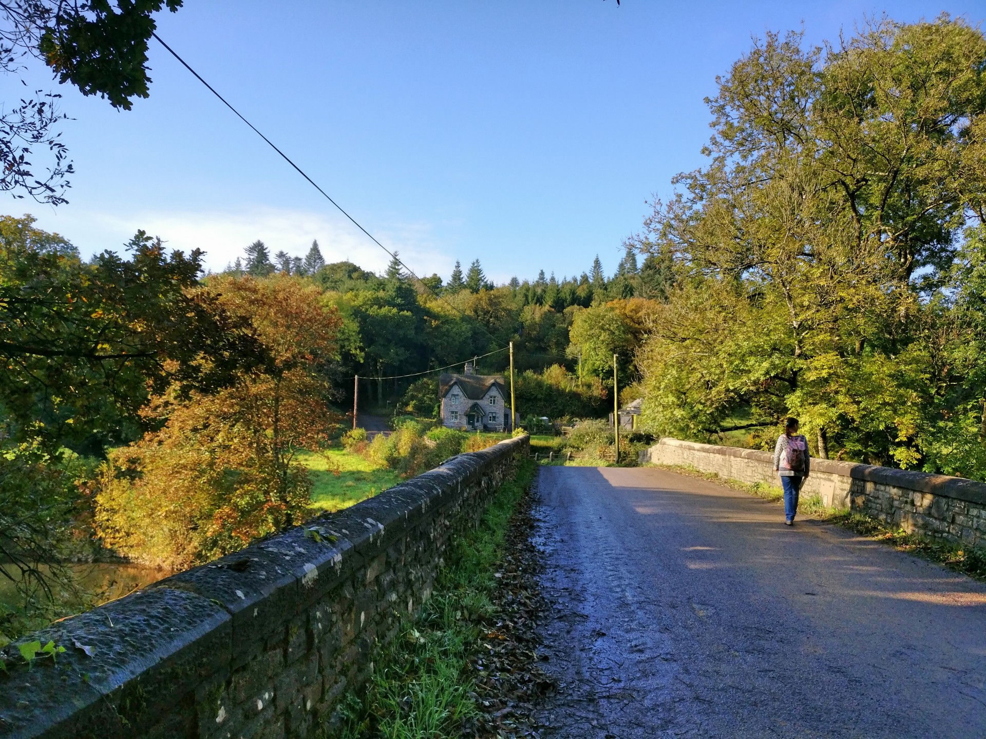 Bridge over the river Torridge.