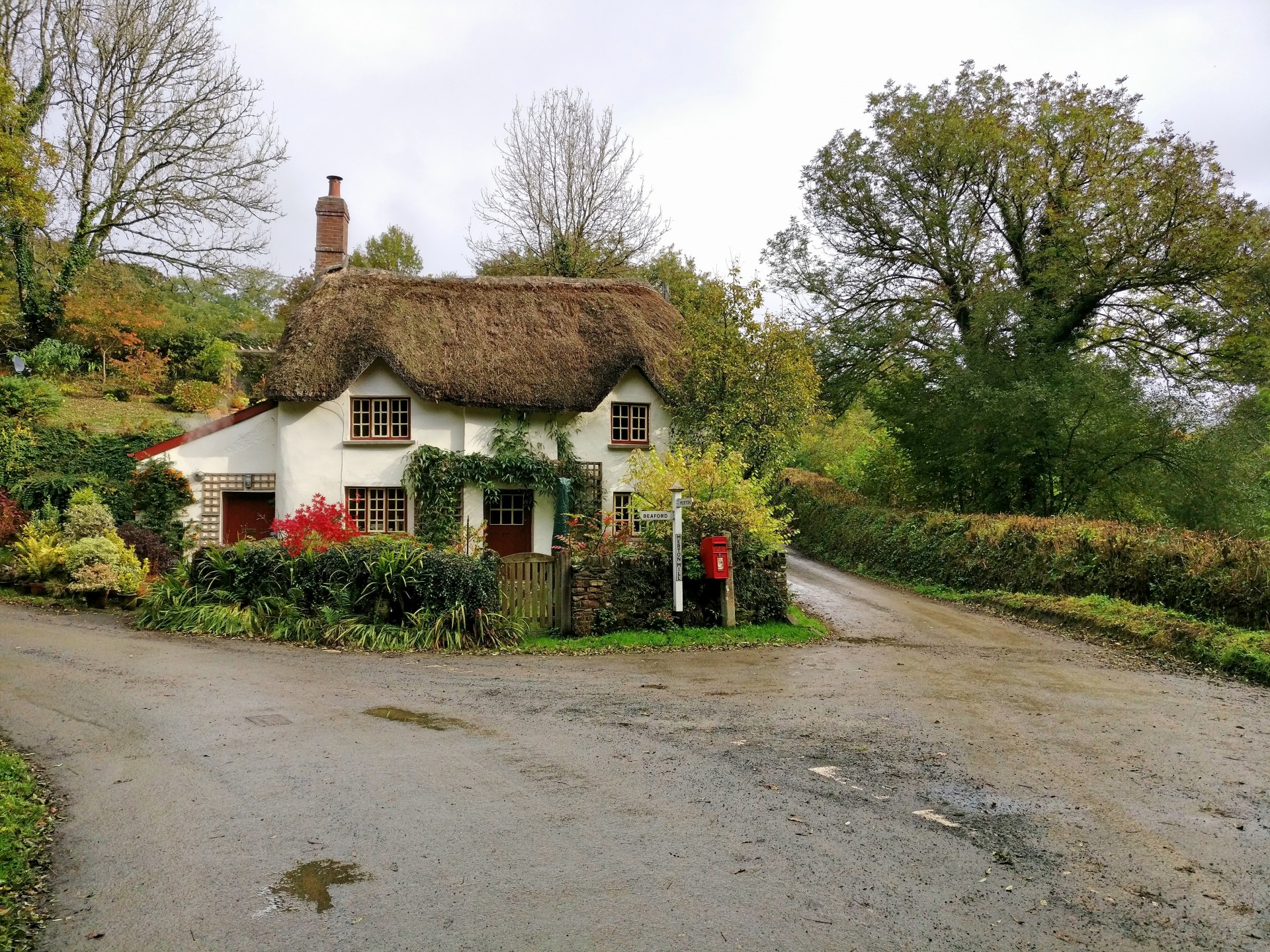 A lovely cottage in the middle of nowhere.