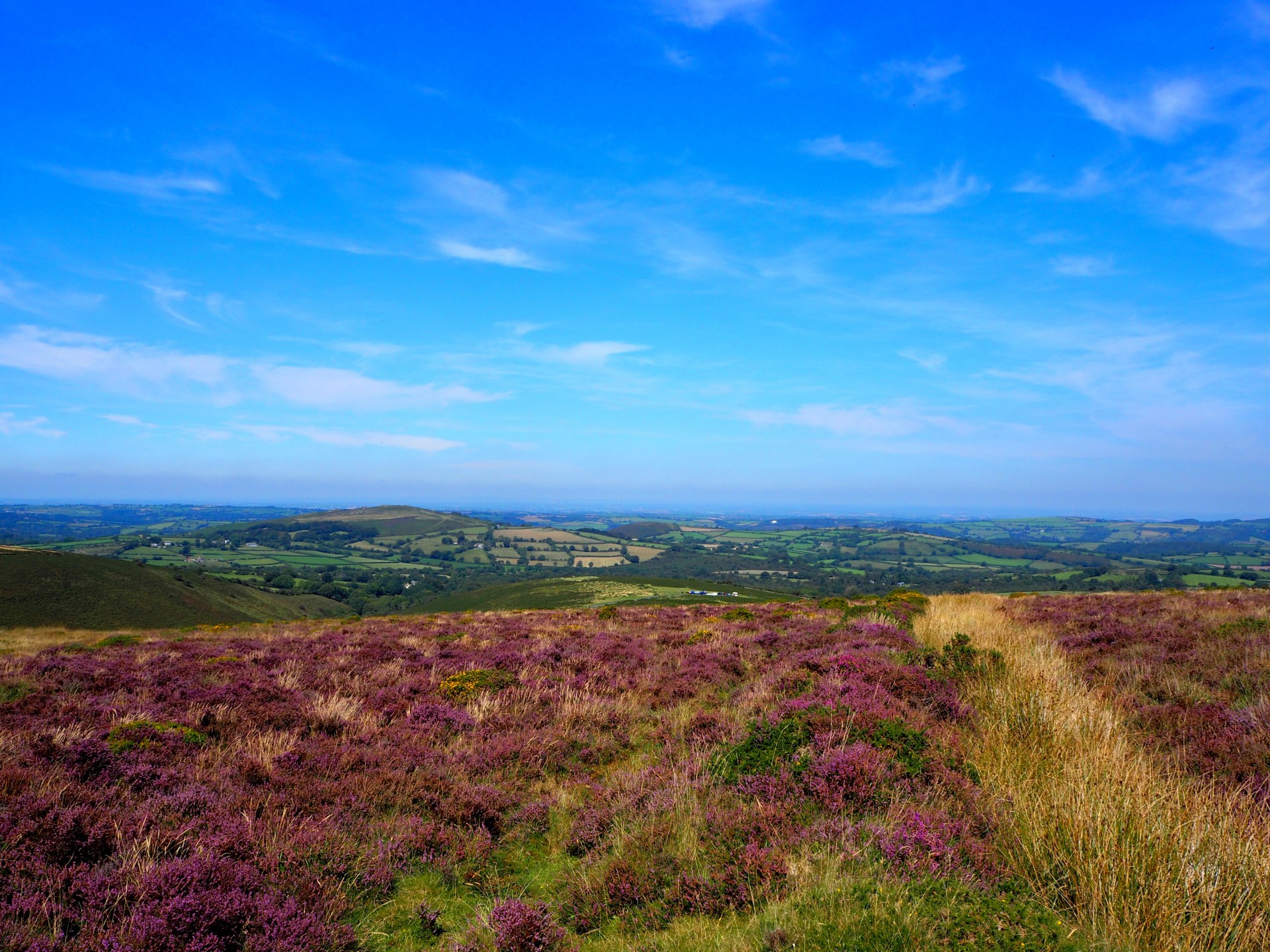 Dartmoor! Look at the views.