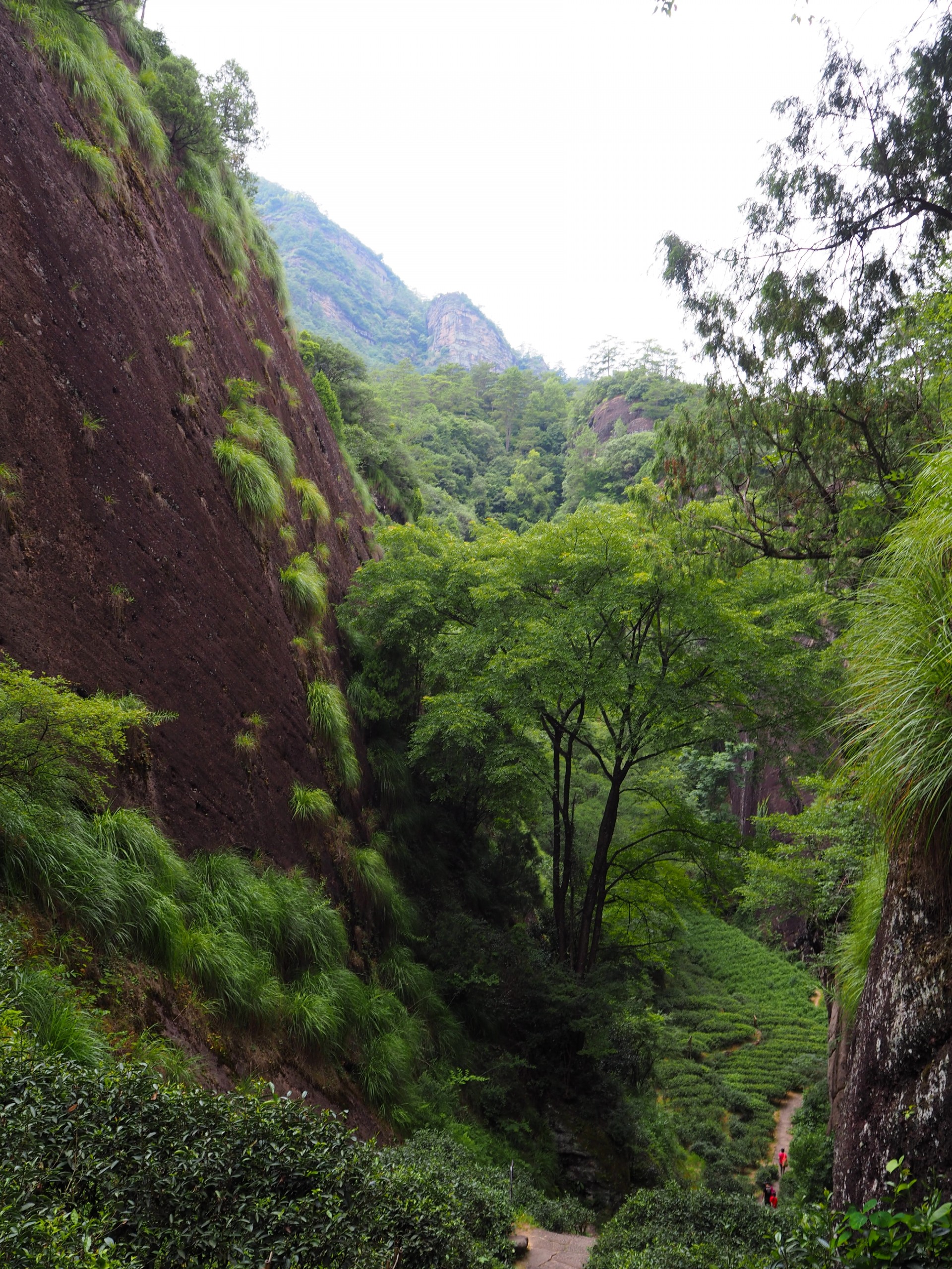 Wuyishan