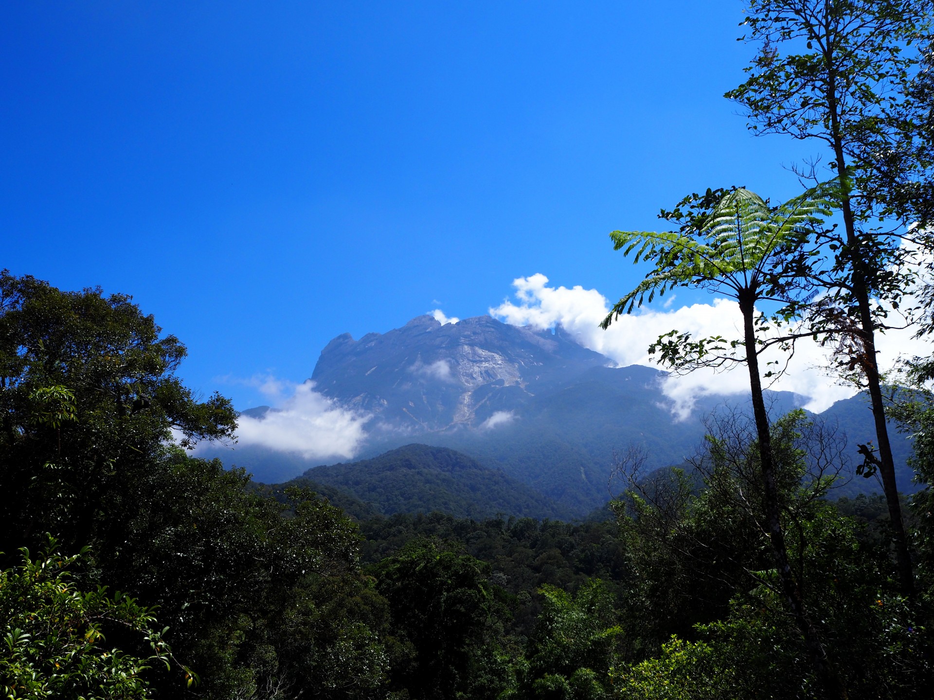 Kinabalu