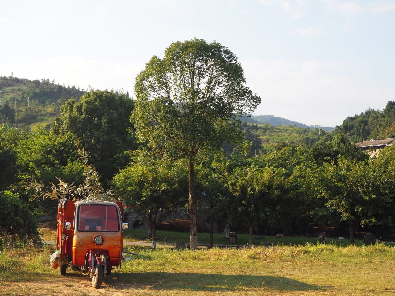 Tuk-tuk at Sunset